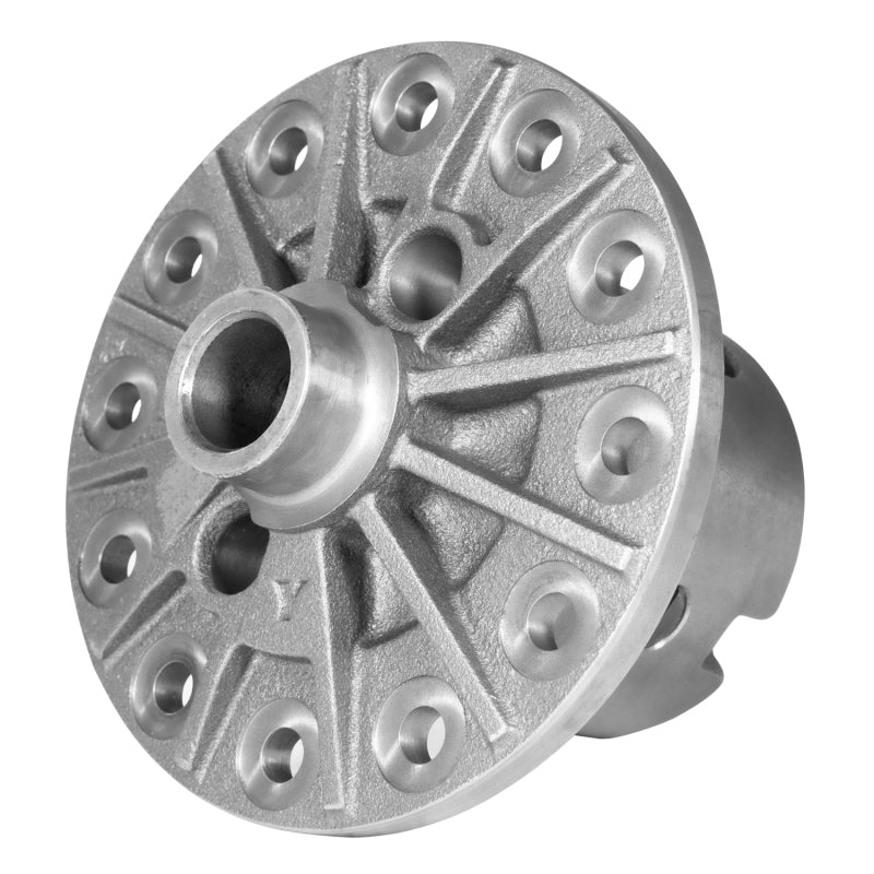 Photo - Close Up