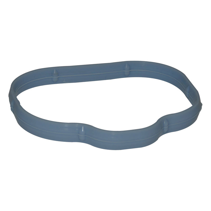 Intake manifold gaskets 3.6 V6 collector side