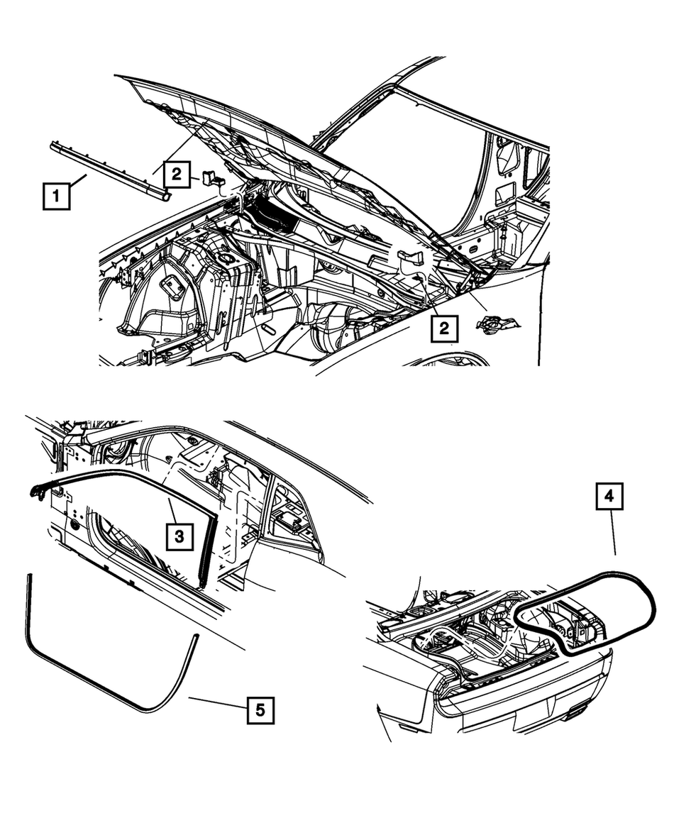 Body Side Weatherstrip - Challenger 2008-2023
