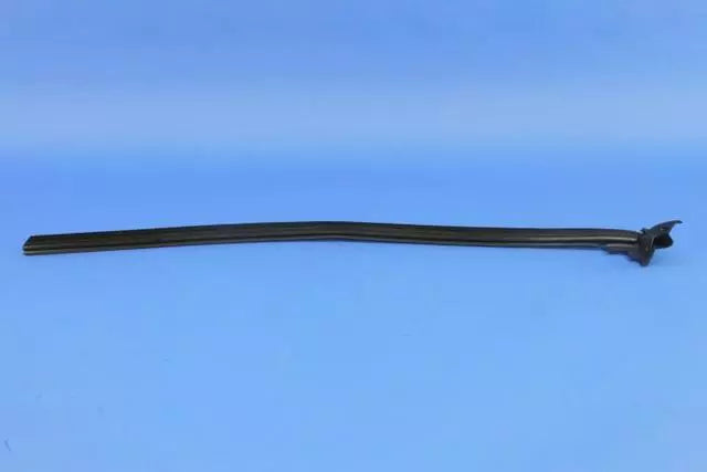Front Door Belt Inner Weatherstrip, LH - Challenger 2008-2023