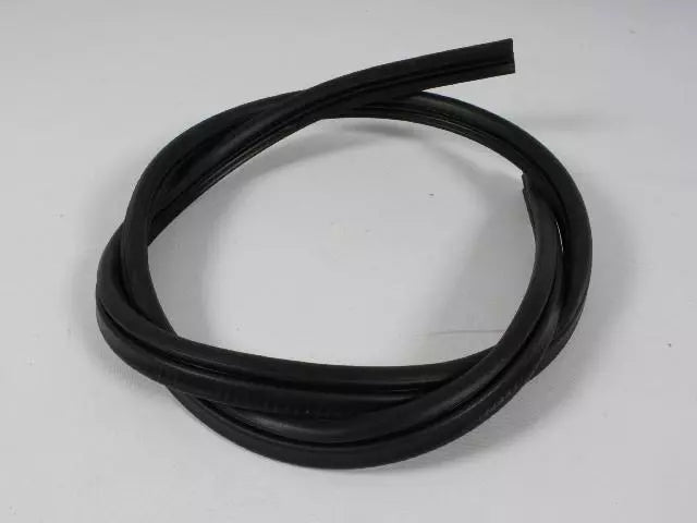 Body Side Weatherstrip - Challenger 2008-2023