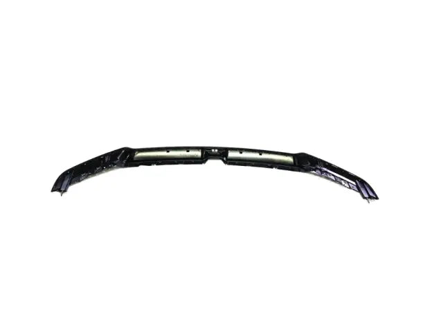HOOD MOLDING - Ram 1500 19+ DT