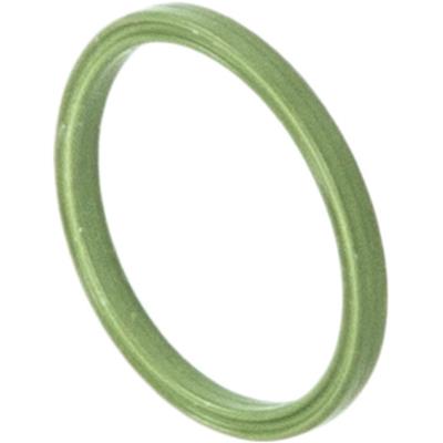 Evaporative System integrity Module Seal