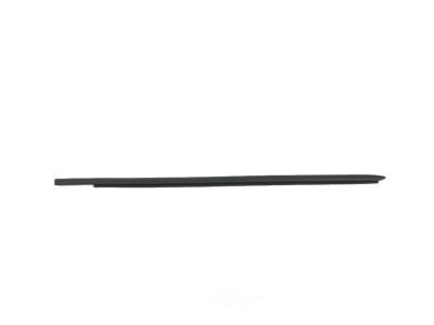 Weatherstrip Rear Door Belt Outer RH 1500 09+2500/3500 10+
