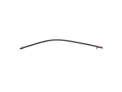 MOLDING,Day Light Opening, Front Door, LH - Ram 1500 DT 19+