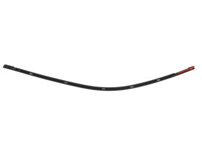 MOLDING, DAY LIGHT OPENING REAR DOOR