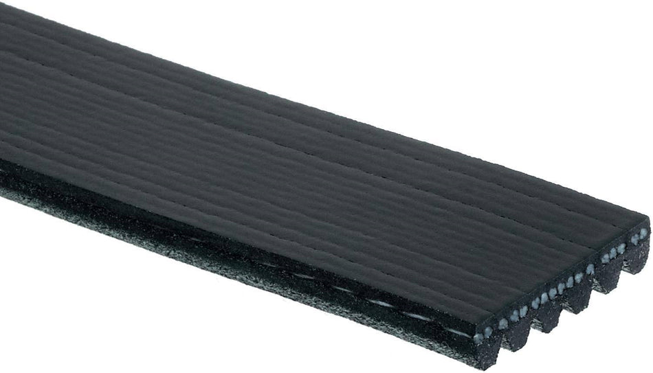 Multi belt Ram 1500 4.7 2008/2012