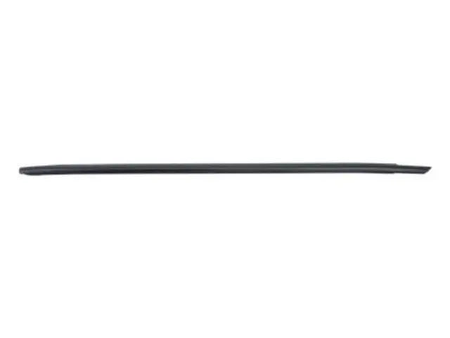 Front Door Belt Outer Weatherstrip, LH - Challenger 2008-2023