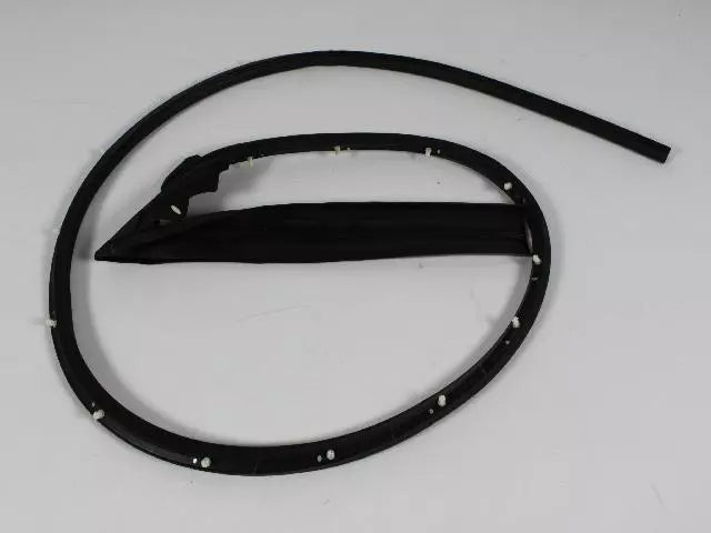 Front Door Mounted Weatherstrip, LH - Challenger 2008-2023