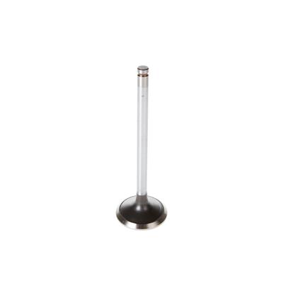 exhaust valve 5.2/5.9 Magnum V8