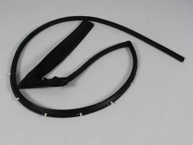 Front Door Mounted Weatherstrip, LH - Challenger 2008-2023
