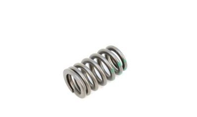 Valve spring HEMI 6.1 SRT-8 intake