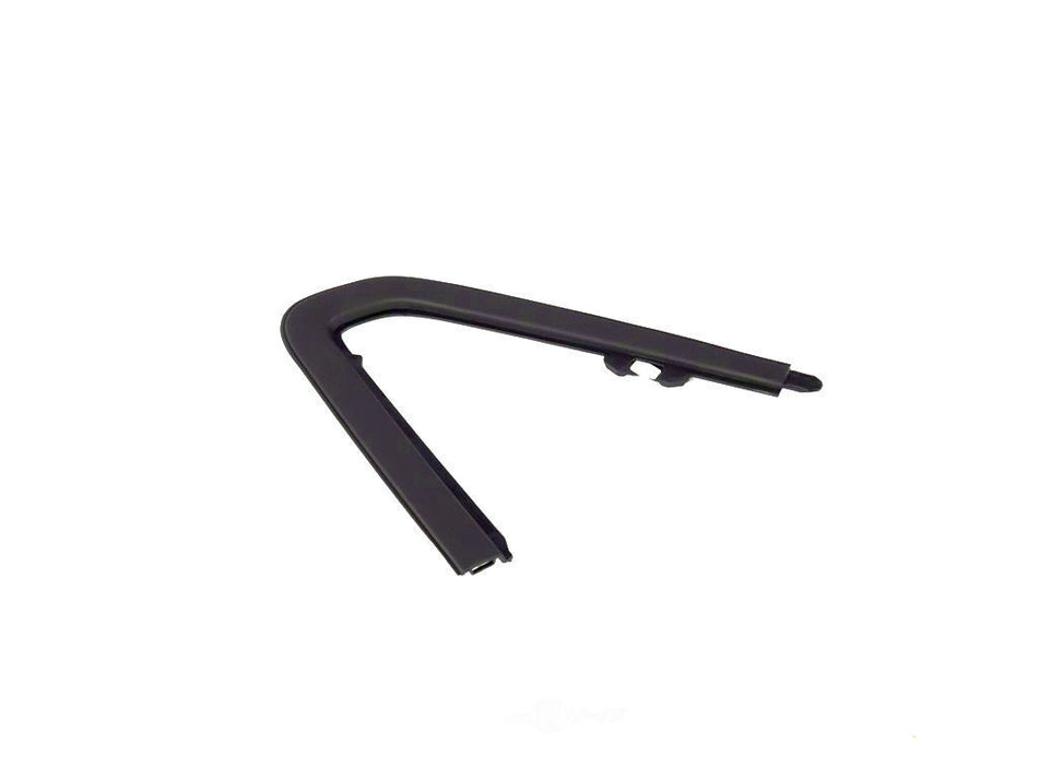 Day Light Opening Molding, LH - RAM 1500 19+
